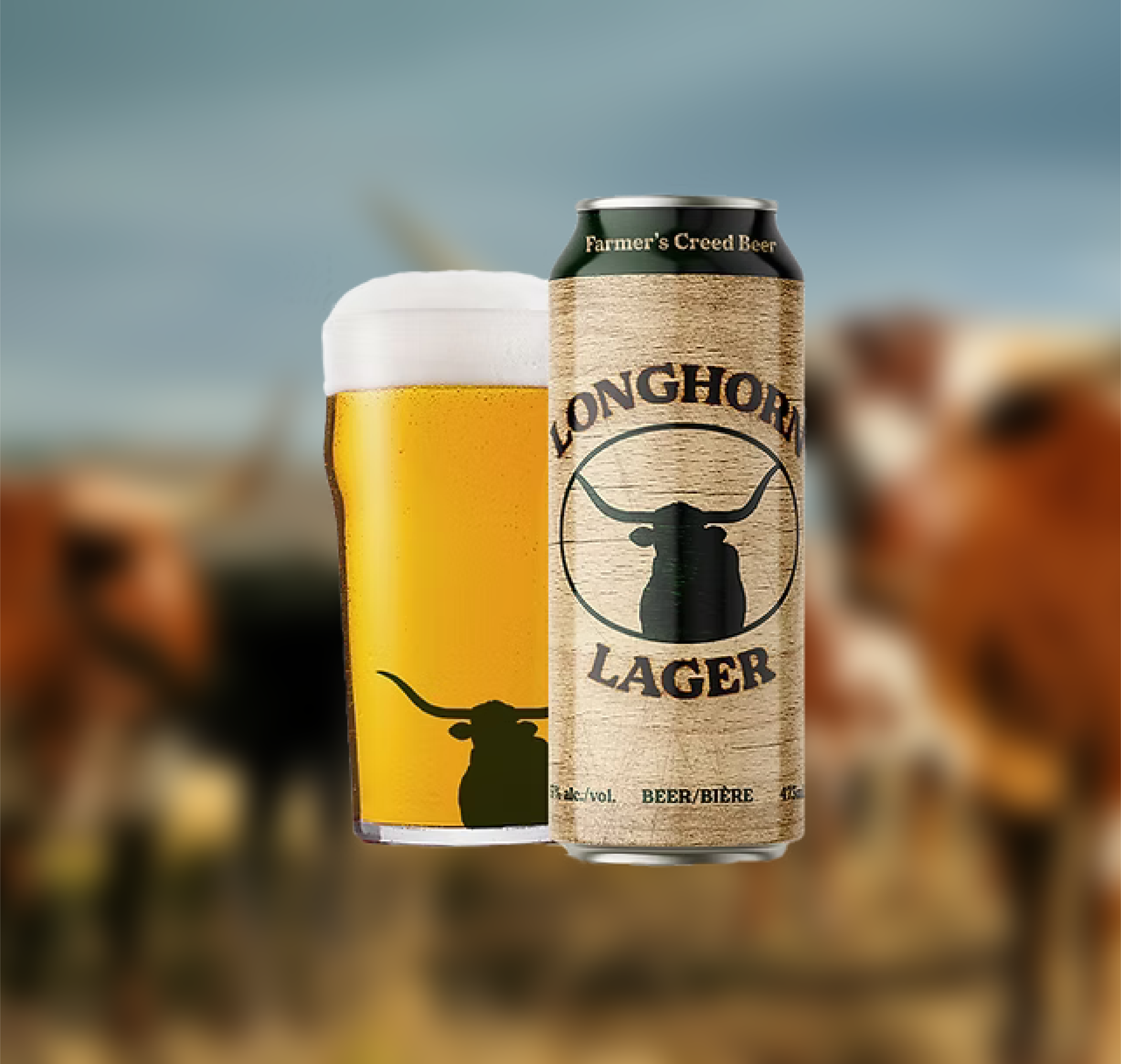 Brand Identity Package